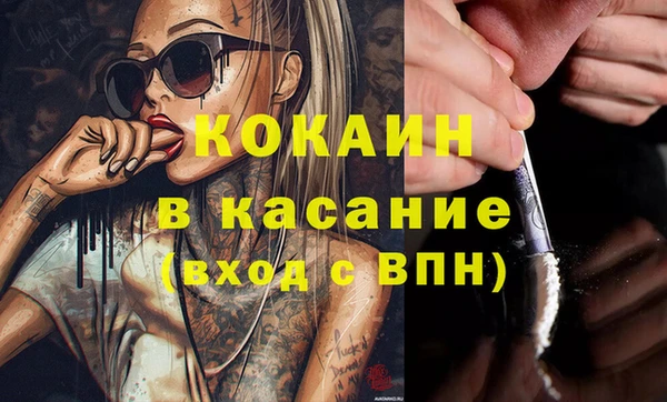 прущие грибы Беломорск