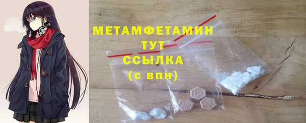 прущие грибы Беломорск