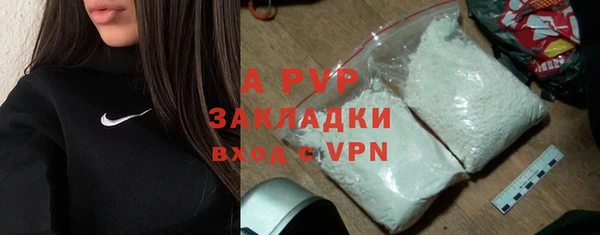 прущие грибы Беломорск