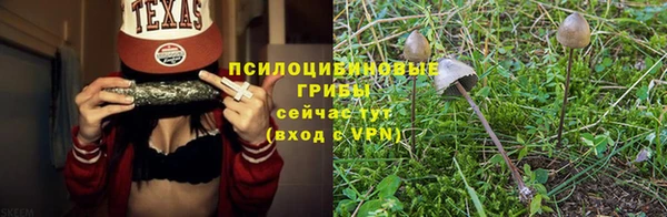 прущие грибы Беломорск