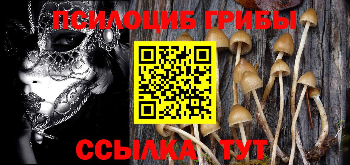 Псилоцибиновые грибы GOLDEN TEACHER  закладки  Кстово  Вход с VPN 