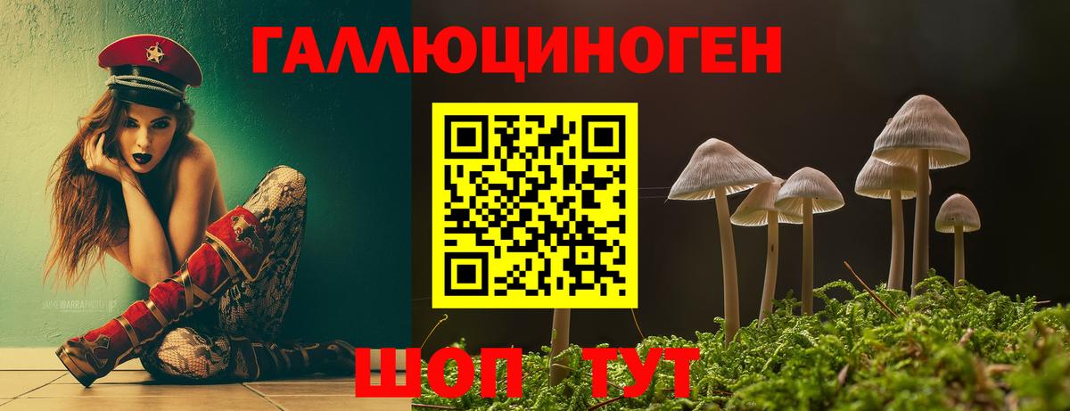Галлюциногенные грибы ЛСД Кстово