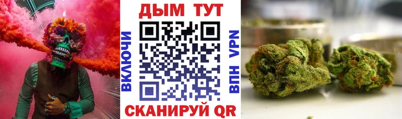 Шишки марихуана сатива  дарнет шоп  Кстово 